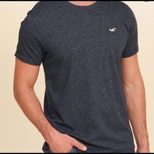 HOLLISTER Crew Neck MENS tee. Size Large